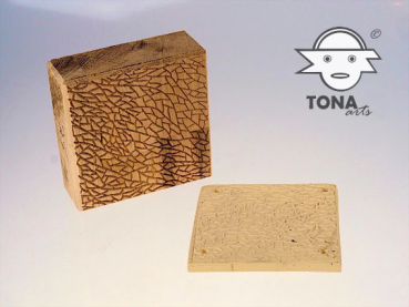 No.SL2 seamless plant cell structure